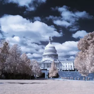 Print of the Capitol building through autumn foliage in Washington DC