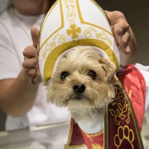 Us-Vatican-Religion-Pope