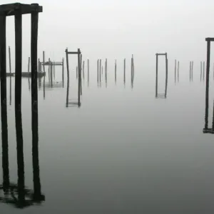 Us-Weather-Fog Us-Weather-Fog