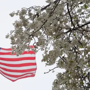 Us-Weather-Storm-Stella