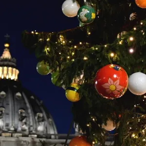 Vatican-Christmas-Tree Vatican-Christmas-Tree