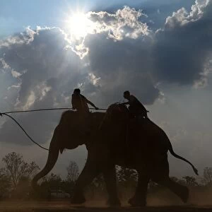 Vietnam-Animal-Elephant-Festival