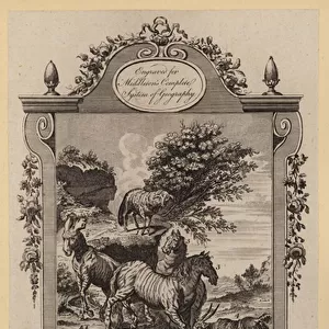 Animals of the Cape of Good-Hope (engraving)