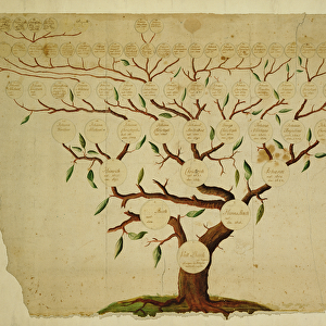 Bach Family Tree, c. 1750-1770 (pen and ink and pencil on paper)