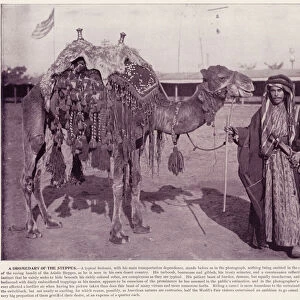Chicago Worlds Fair, 1893: A Dromedary of the Steppes (b / w photo)