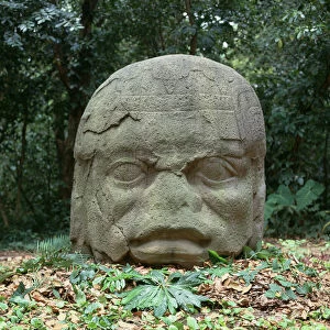 Colossal Head 4, Pre-Classic Period (stone)