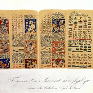 Copy of a fragment of the Dresden Codex showing Mayan astronomical calculations