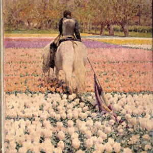 Defeated A shot rider crosses a tulip field after defeat. Painting by George Hitchcock (1850-1913) (ec. am. ) 1898 Sun. 1x0, 9 m Paris, musee d Orsay - A despondent rider crosses a field of tulips after the defeat