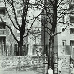 East Dulwich Estate: children pose under a tree, London, 1936 (b / w photo)