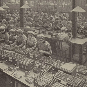 English women munitions workers assembling fuses (b / w photo)