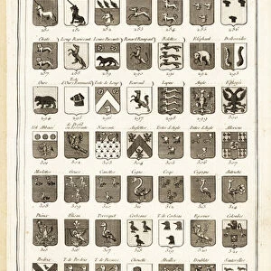 Examples of heraldic terms describing a coat of arms. 1763 (engraving)