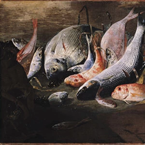 Fish and Crab (oil on canvas)