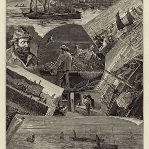 Our Fishing Industries: Drift-Net Fishing for Pilchards off Cornwall (engraving)