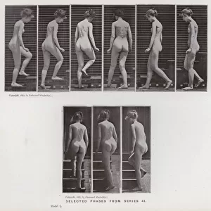 The Human Figure in Motion: Selected phases from series 41 (b / w photo)