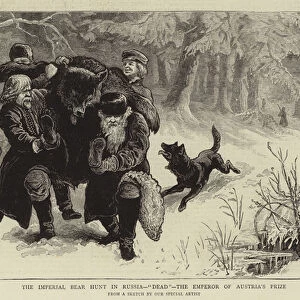 The Imperial Bear Hunt in Russia, "Dead", the Emperor of Austrias Prize (engraving)