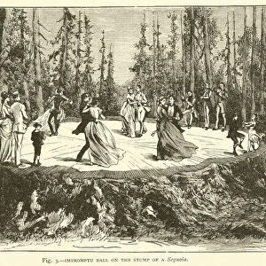 Impromptu Ball on the Stump of a Sequoia (engraving)
