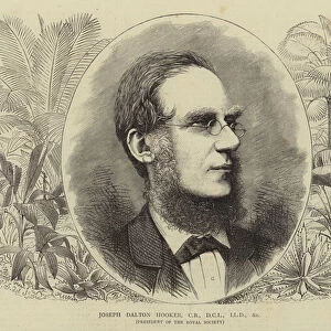 Joseph Dalton Hooker, CB, DCL, LLD, etc (engraving)