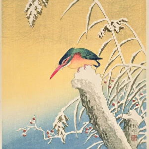 Kingfisher in the Snow, 1935 (colour woodblock print)