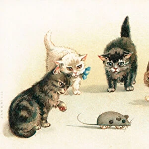 Four kittens playing with a clockwork mouse (colour litho)