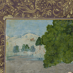 Laila and Majnun converse beneath a tree, detail, c. 1730 (opaque w / c & gold on paper)