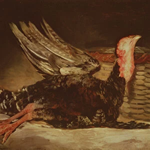 Still Life of a dead turkey and a wicker basket, 1806 (oil on canvas)