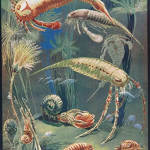 Life in Paleozoic Seas, illustration from The Science of Life (colour litho)