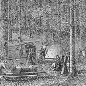 At the Maple Syrup Camp, illustration from Harpers Weekly, 1867