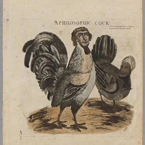 A Philosophic Cock, 1804 (colour litho)