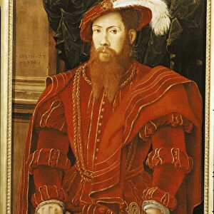 Portrait of a Gentleman of the English Court, 1546 (oil on panel)