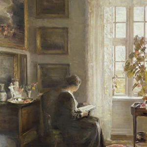 Reading by a Sunny Window (oil on canvas)