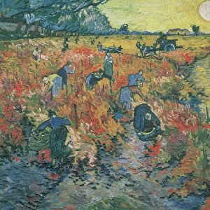 Red Vineyards at Arles, 1888 (oil on canvas)