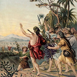 The Return of the Land of Canaan - in "Aurea Bibbia classica
