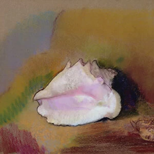 The Shell, 1912 (pastel on paper)