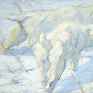 Siberian Dogs in the Snow, 1909-10 (oil on canvas)