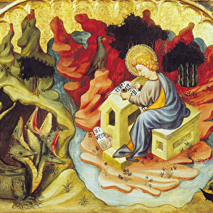 St. John on Patmos (oil on panel)