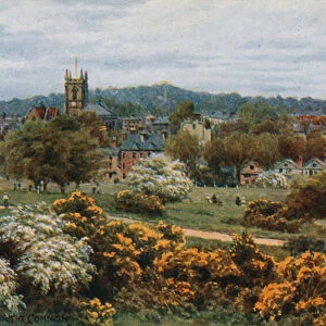 Tunbridge Wells from The Common (colour litho)
