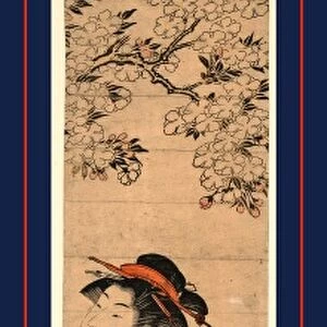 Ouka no nibijin, Two beauties under a cherry tree. Torii, Kiyonaga, 1752-1815, artist
