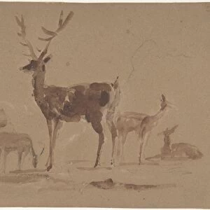 Stag Young 1820-73 Brush brown wash graphite