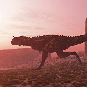 Carnotaurus running in the early morning light on desert terrain
