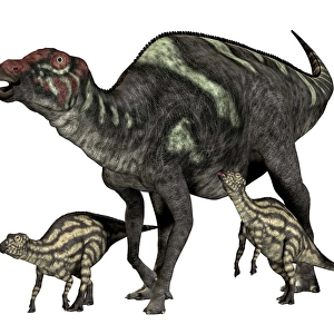Maiasaura dinosaur with offspring