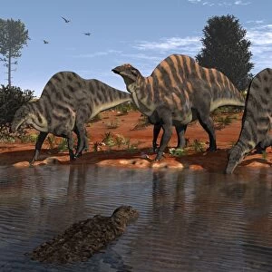 Ouranosaurus drink at a watering hole while a Sarcosuchus floats nearby