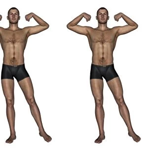 Set of four men showing progression to become a muscular man
