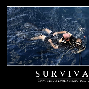 Survival: Inspirational Quote and Motivational Poster