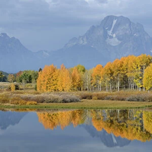 Oxbow Bend with mountains in the distance, Grand Teton National Park, Wyoming, USA