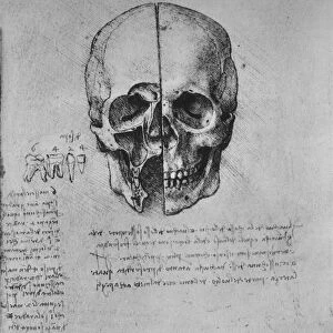 Drawing of Two Halves of a Skull, c1480 (1945). Artist: Leonardo da Vinci