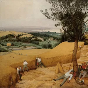 The Harvesters, 1565. Creator: Pieter Bruegel the Elder