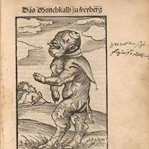 Monk Calf of Freiberg (Das Monchskalb zu Freiberg), 1523