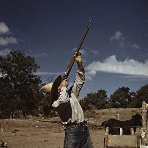 Mr. Leatherman, homesteader, shooting hawks... Pie Town, New Mexico, 1940. Creator: Russell Lee