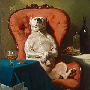 Pug Dog in an Armchair, 1857