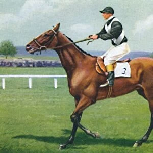 Shalfleet, Jockey: R. Perryman, 1939